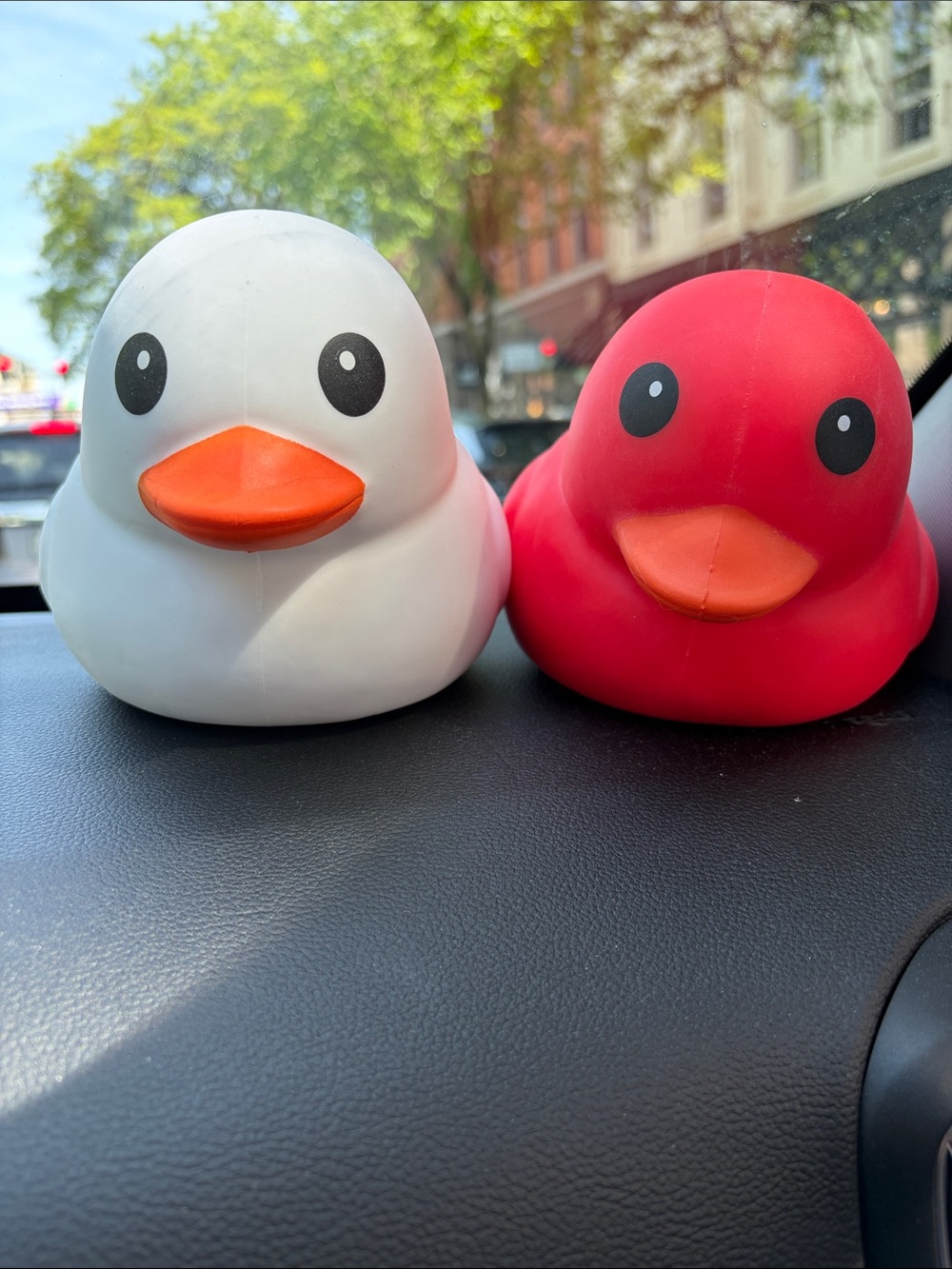 Sunny days Squeezy ducks red or white